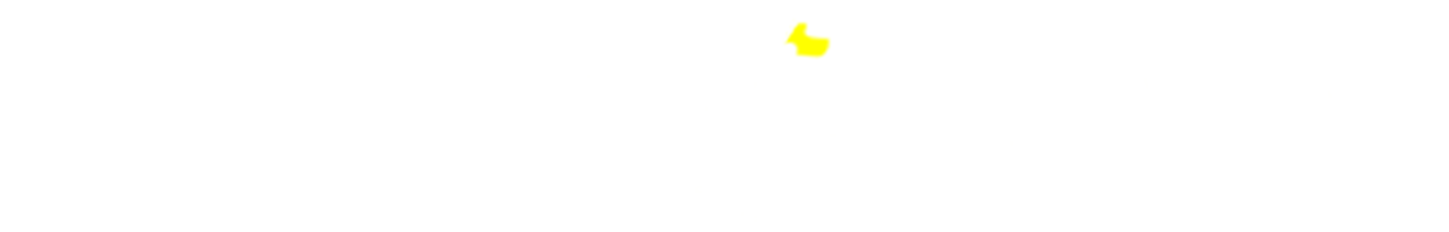 Fairway Social Logo